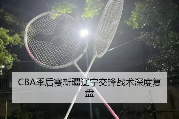 CBA季后赛新疆辽宁交锋战术深度复盘